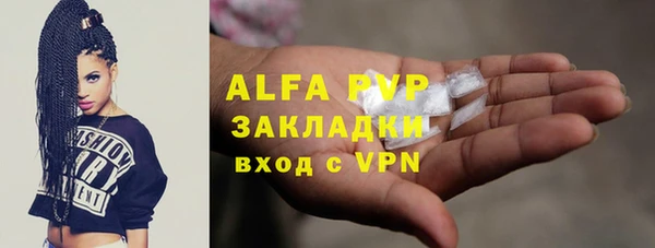 стафф Аркадак