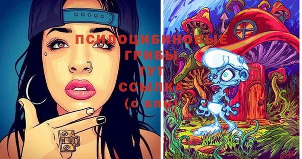 стафф Аркадак